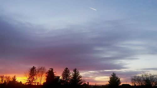 Low angle view of silhouette trees against sky