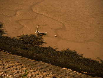 High angle view of person on sand