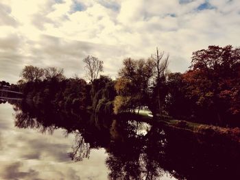 Trees by lake against sky