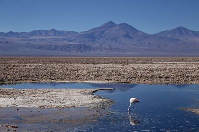 Scenic view of lake by mountains against sky