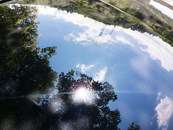 Low angle view of trees against sky