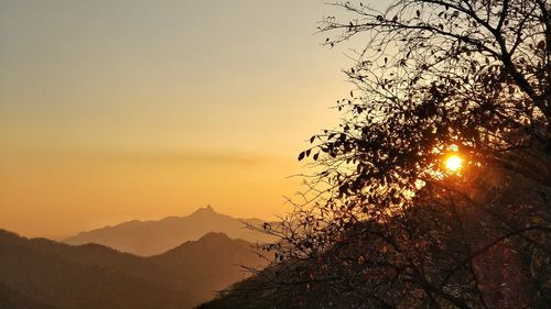 Silhouette tree against sky during sunset