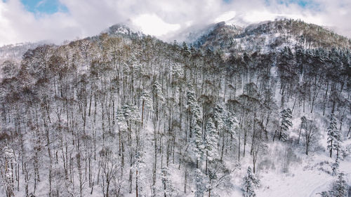 Low angle view of snowcapped mountain against sky