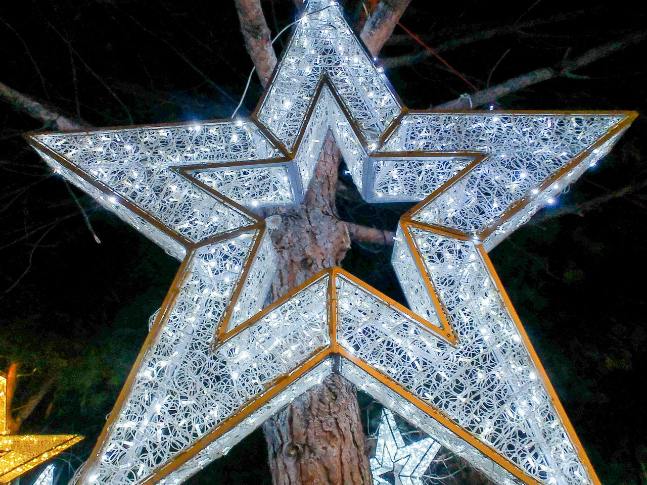 star shape, star, shape, night, no people, tree, illuminated, decoration, nature, christmas, christmas decoration, astronomical object, outdoors, celebration, low angle view, close-up