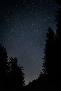 Low angle view of silhouette trees against sky at night