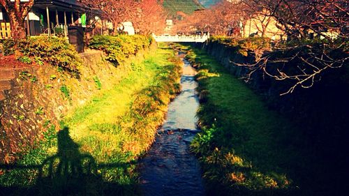 Narrow walkway along canal