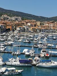 Sailboats moored in sea against buildings in city