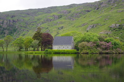 Scenic view of lake by trees