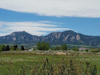 Scenic view of field by mountains against sky