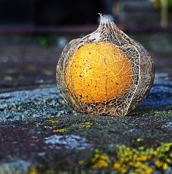 Close-up of yellow surface