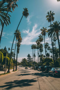 Cars on road amidst trees against sky