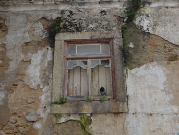 Low angle view of a building