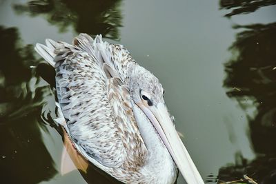 Close up of water