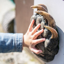 Midsection of woman hand on rock