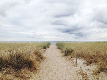 Scenic view of landscape against cloudy sky