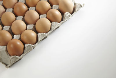 Close-up of eggs in cartoon on white background