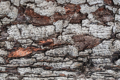 Full frame shot of weathered wall