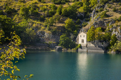 Scenic view of lake in forest