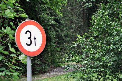 Information sign on road amidst trees