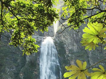 Scenic view of waterfall