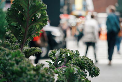 Close-up of people walking on street in city