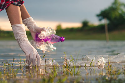 Midsection of woman with pink flowers against lake