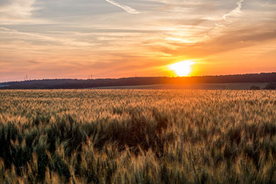 Scenic view of field against sky during sunset