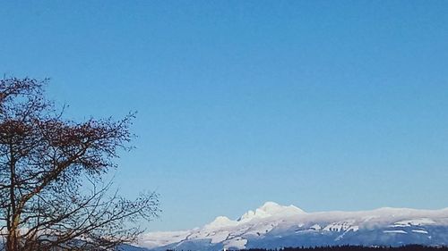 Scenic view of snow covered landscape against clear blue sky