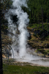 Artists pots - yellowstone national park