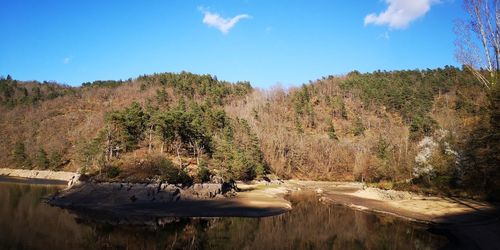 Scenic view of river in forest against sky