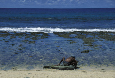 Rear view of fisherman sitting on beach during sunny day