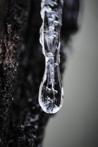 Close-up of icicles hanging from glass