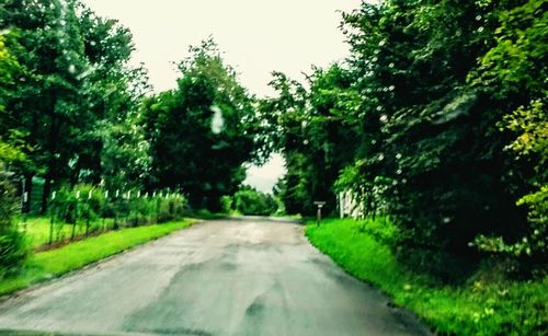 Empty road along trees