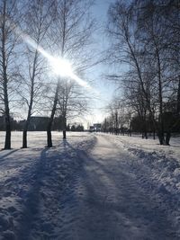 Bare trees on snow covered landscape