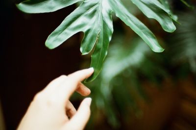 Close-up of hand