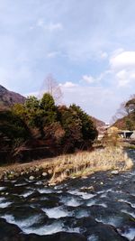 Trees by river against sky