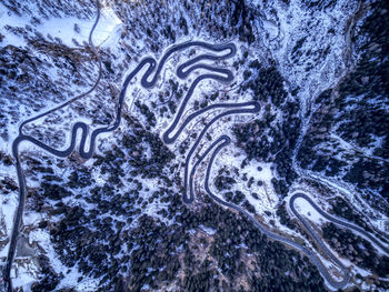 High angle view of road amidst trees