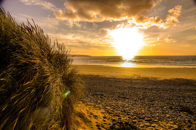 Scenic view of sea at sunset