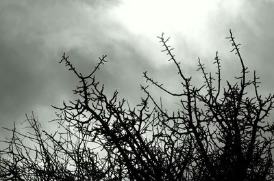 Low angle view of bare tree against cloudy sky
