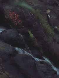 Stream flowing through rocks in forest