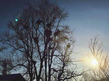 Low angle view of bare tree against sky