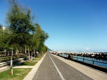 Empty road along trees and against blue sky