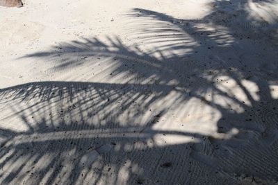 High angle view of shadow on sand