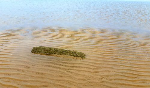 High angle view of sand on beach