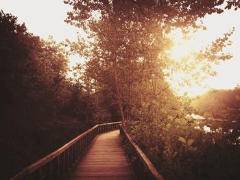 Footbridge over trees