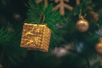Close-up of illuminated christmas tree