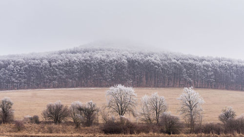 Scenic view of snow covered land against sky