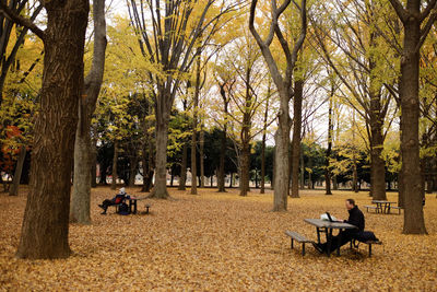 People sitting in park