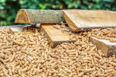 High angle view of logs in forest