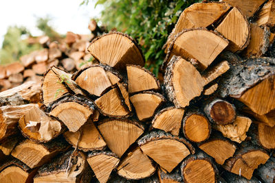 Close-up of firewood